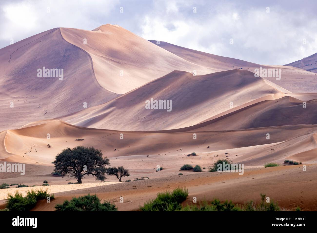 Dunes de sable extra-terrestres près de Sossusvlei dans le parc national Namib-Naukluft, Namibie, Afrique Banque D'Images