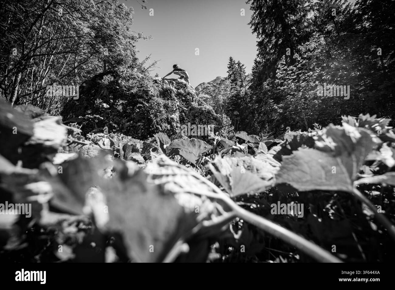 Un garçon grimpe une roche pendant une randonnée dans les Alpes Banque D'Images