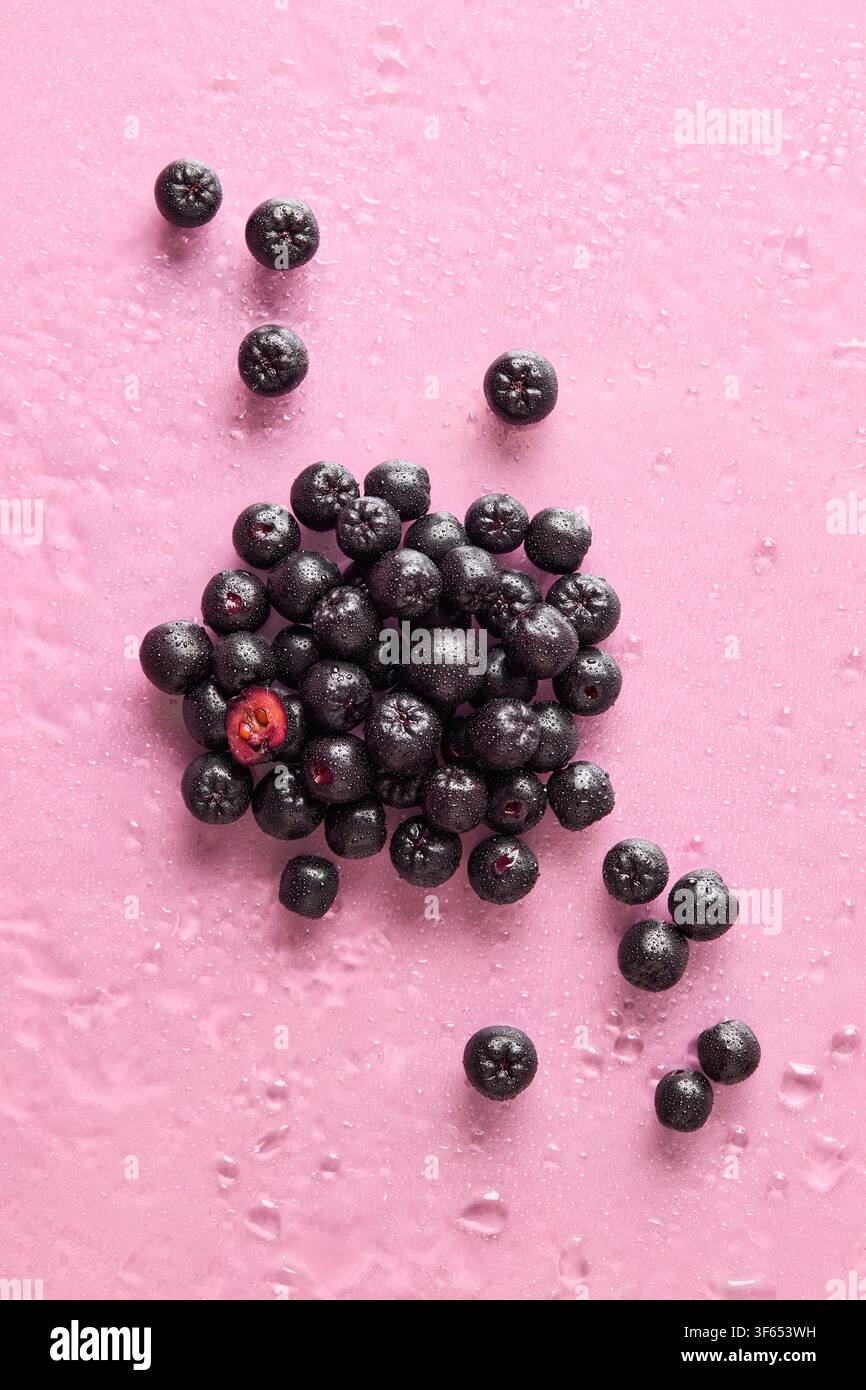 Baies d'aronia fraîches avec des gouttelettes d'eau sur un fond rose. Concept de fruits d'été sains. Banque D'Images