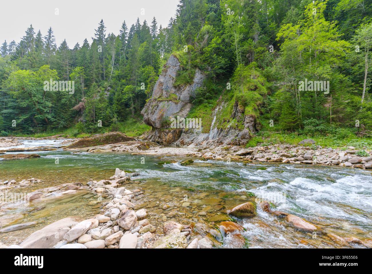 L'eau cristalline de la rivière Ammer coule sur des pierres lisses dans la gorge pittoresque de l'Ammer près de Scheibum, encadrée par des forêts vertes luxuriantes et une roche abrupte Banque D'Images