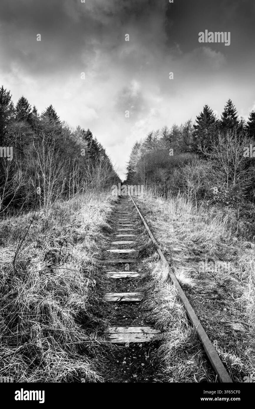 Perspective monochrome dramatique des voies abandonnées et envahies par la végétation sur la ligne historique du Anglesey Central Railway près du réservoir de Cefni, dans le nord du Pays de Galles. Banque D'Images