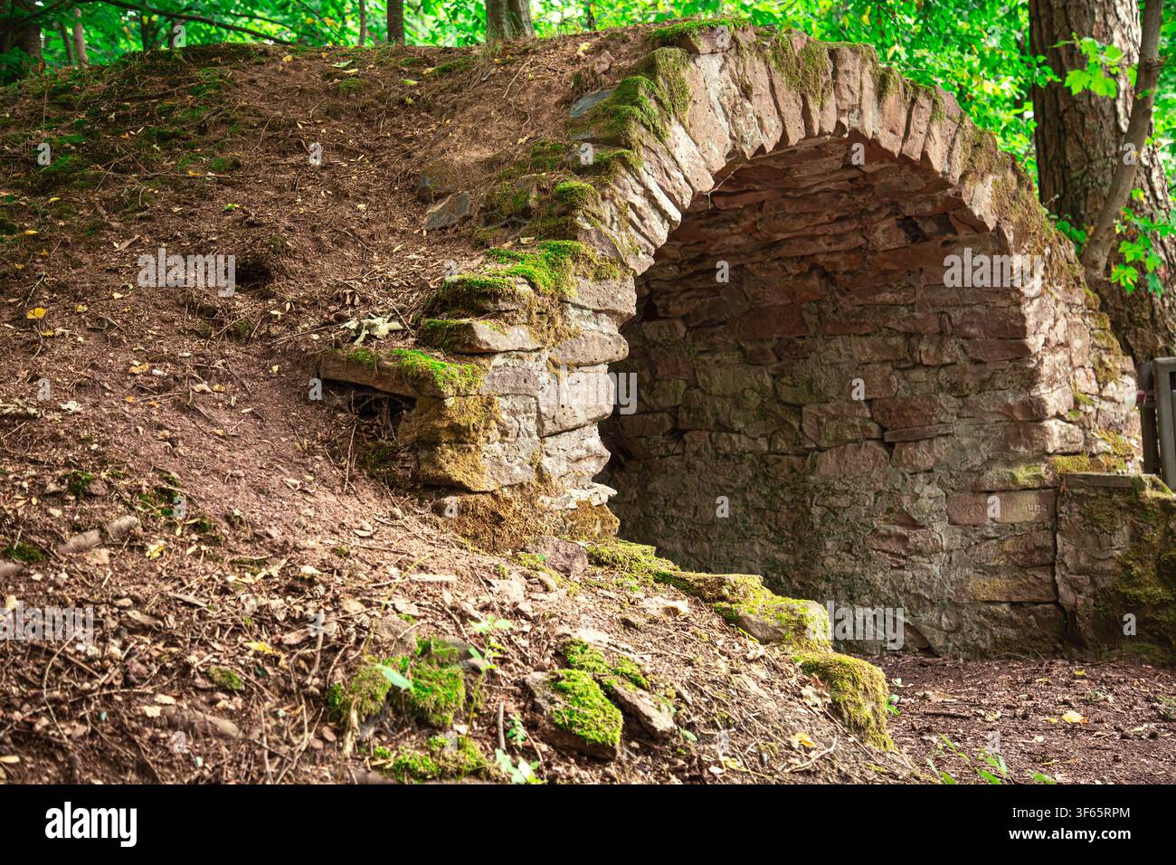 Un ancien arc de pierre se dresse partiellement enfoui dans un flanc de colline boisé entouré d'une végétation dense et d'une lumière naturelle douce. La structure est construite à partir de pierres rugueuses et irrégulières qui montrent des signes d'érosion due à l'âge Banque D'Images