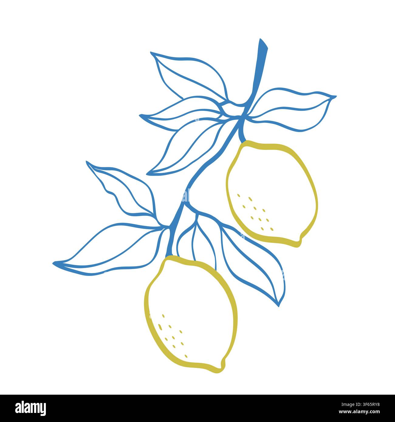 Illustration au trait dessinée à la main d'un citron. Illustration de fruit en doodle. Illustration de Vecteur