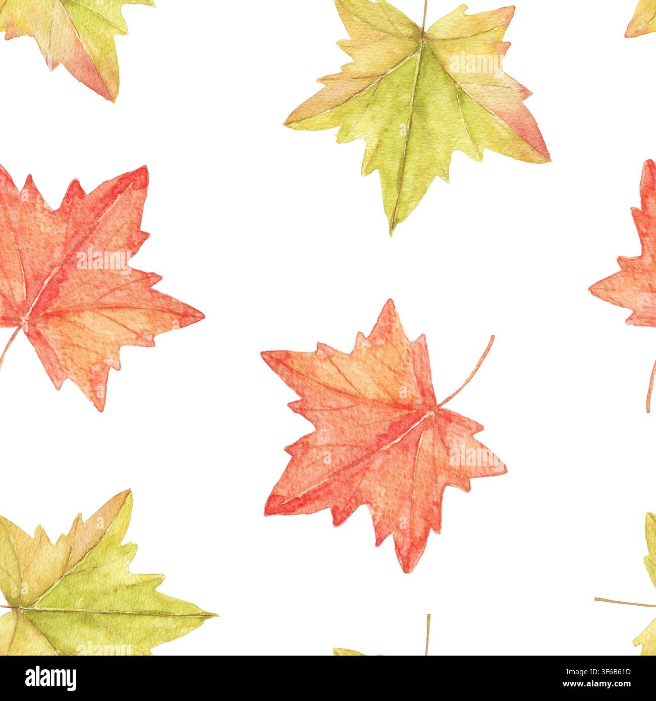 Motif sans couture en aquarelle avec des feuilles d'érable aux couleurs automnales. Illustration botanique peinte à la main pour tissu, papier peint, papier d'emballage, vêtements, qu Banque D'Images