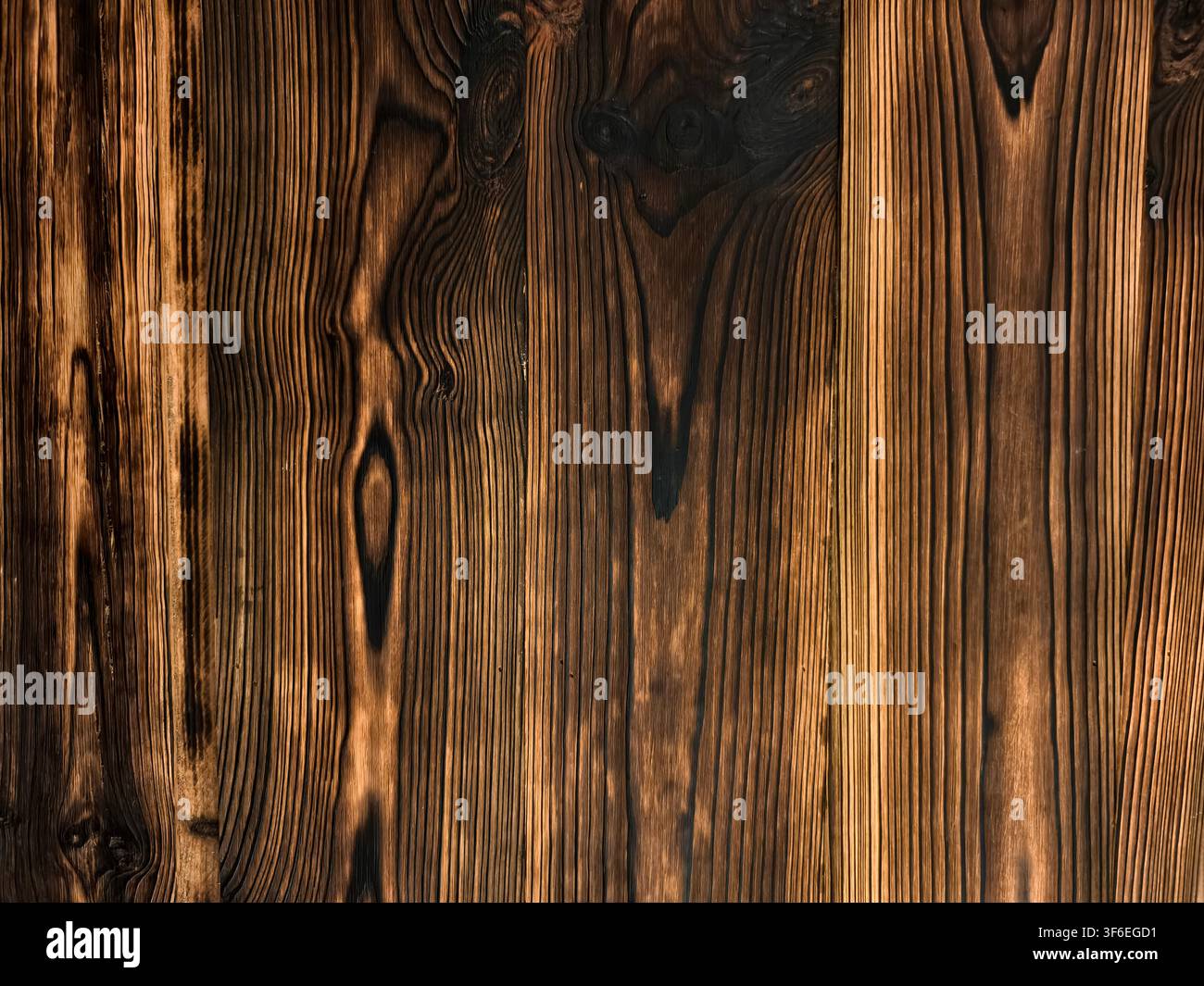 Papier peint en planches de bois brûlé, fond en planches de bois rustique avec motifs organiques de veines d'arbres et détails de nœuds Banque D'Images