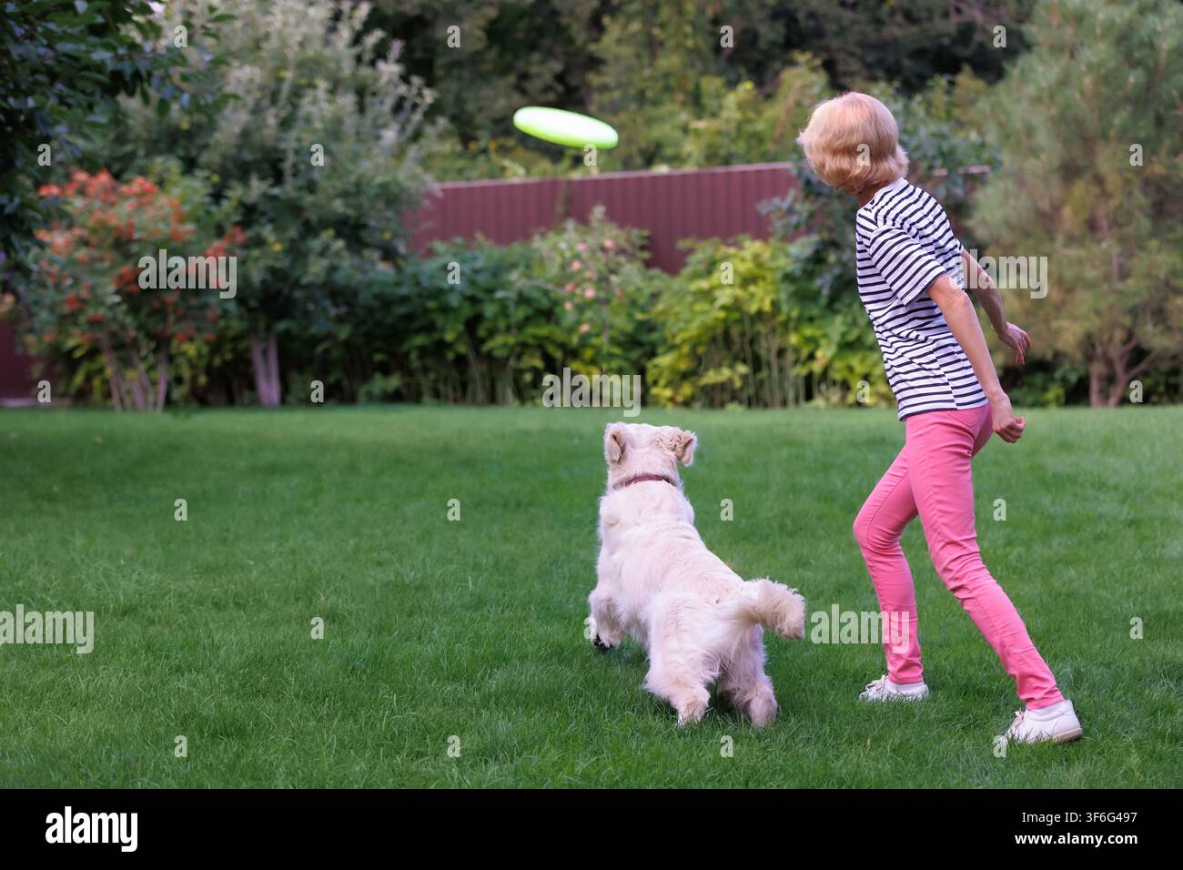 Femmes profitant d'un mode de vie actif avec un animal de compagnie Golden Retriever jouant à la balle avec le chien. Loisirs en plein air, compagnie, exercice Banque D'Images