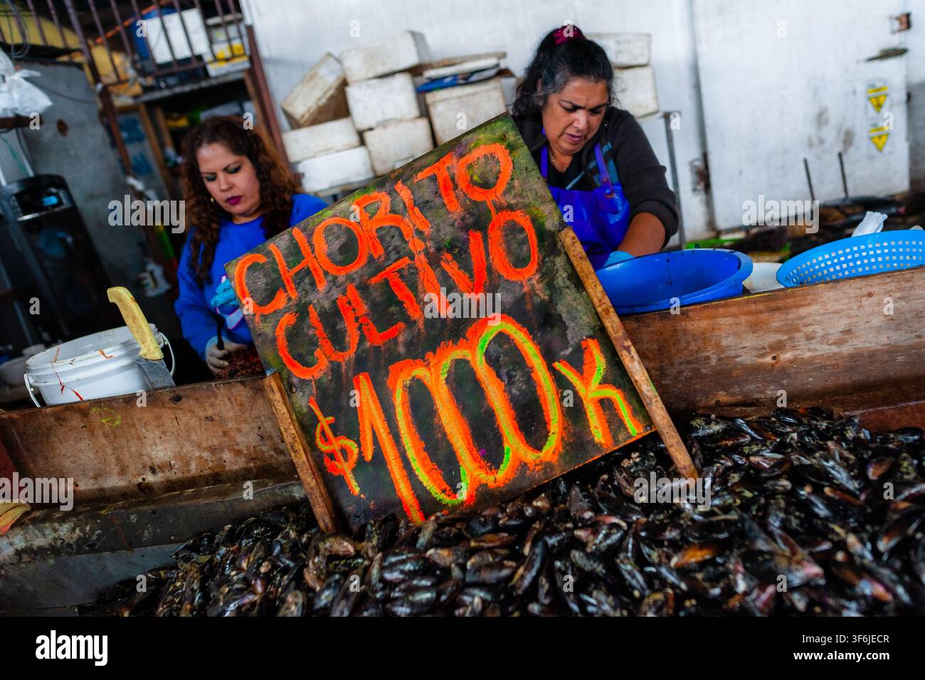 Des moules d'élevage sont exposées à la vente sur un étal de marché à Caleta Portales, un port de pêche artisanal à Valparaíso, au Chili. Banque D'Images