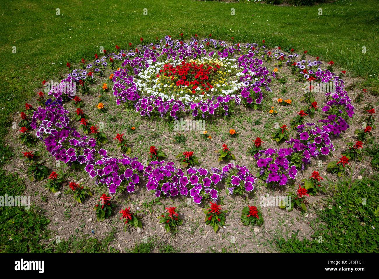 Harmonie et croissance avec un motif de parterre circulaire dans le jardin du parc public vert Banque D'Images