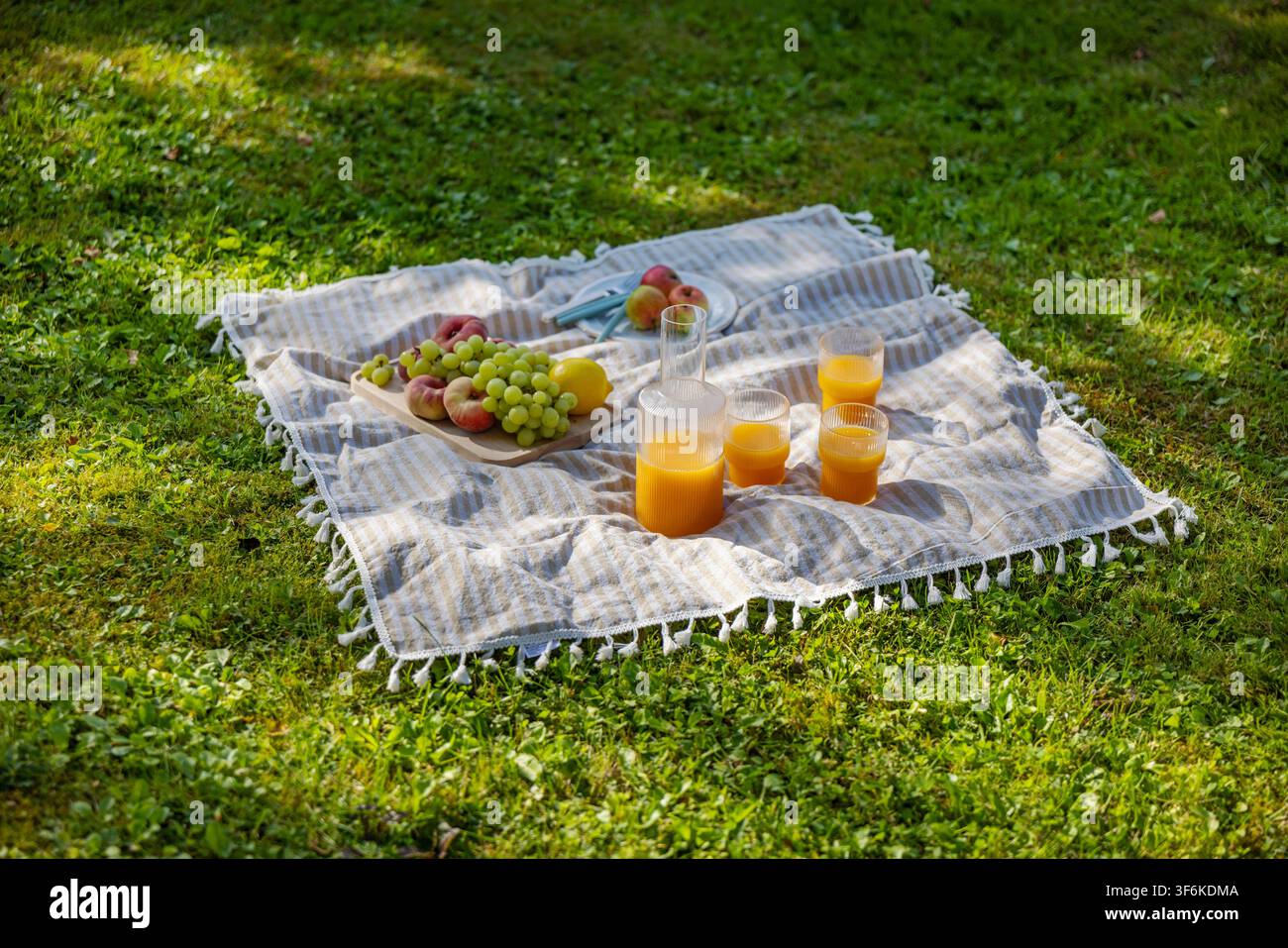 pique-nique d'été confortable avec des fruits frais et du jus d'orange servis sur une couverture rayée dans un jardin luxuriant et vert. Scène de vie en plein air relaxante mettant en vedette gr Banque D'Images