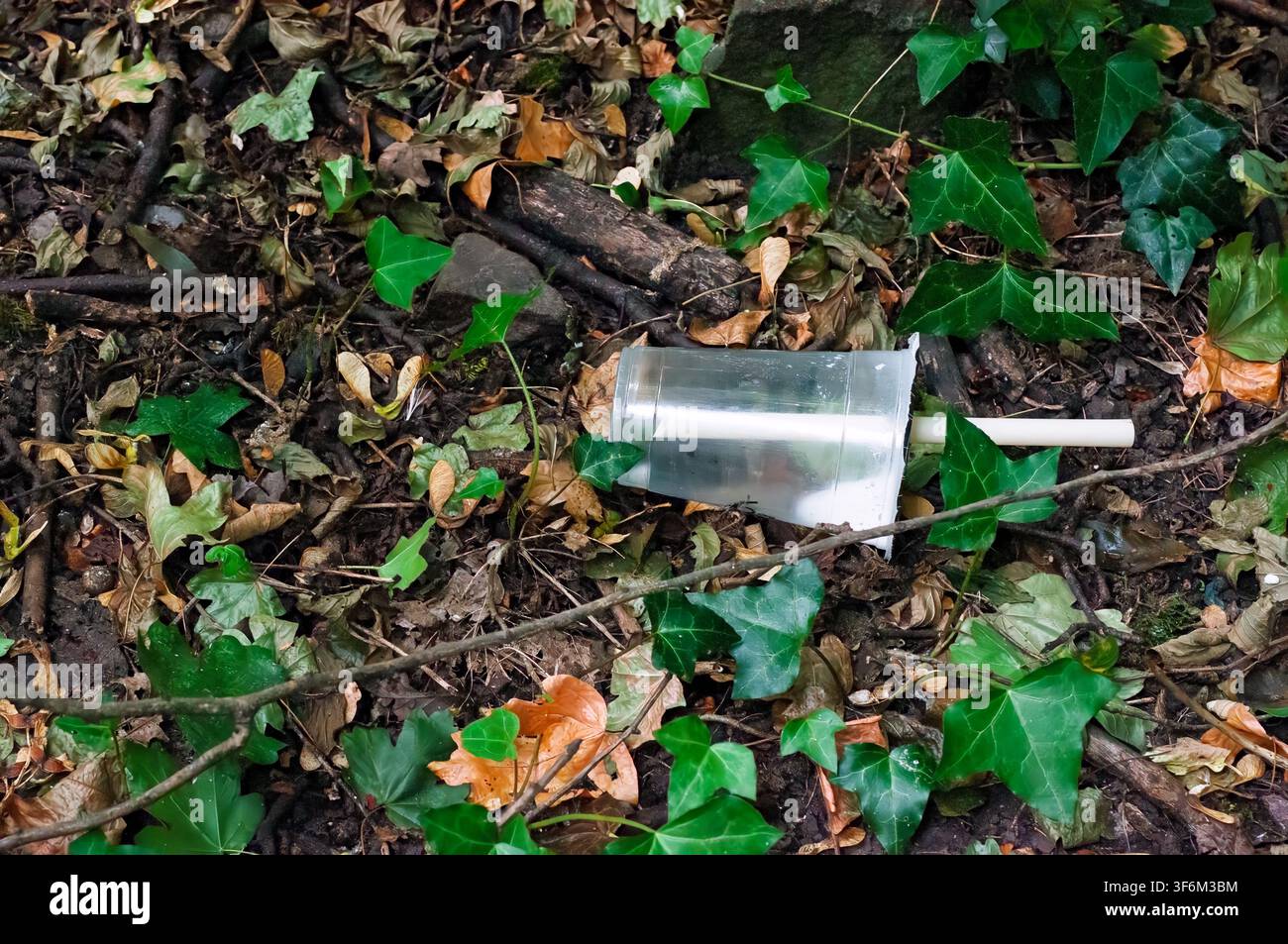 Gobelet en plastique et paille blanche jetés sur le sol d'une forêt. Feuilles brunes et vertes tombées se mêlent à du lierre vert. Bristol, Royaume-Uni Banque D'Images