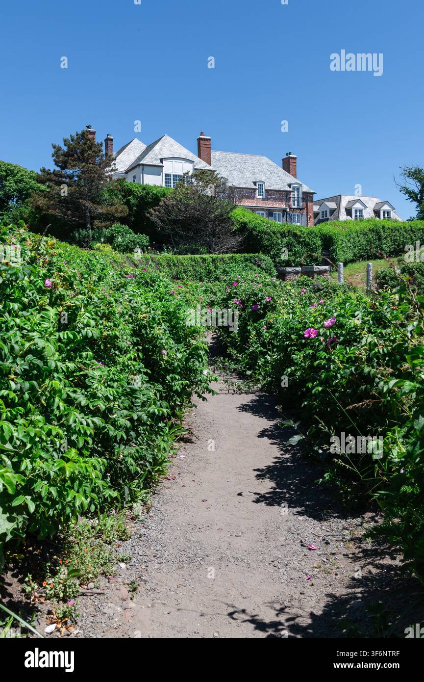 Vue le long d'un chemin vers un toit de maison derrière une haie sur le Cliff Walk à Newport, Rhode Island Banque D'Images