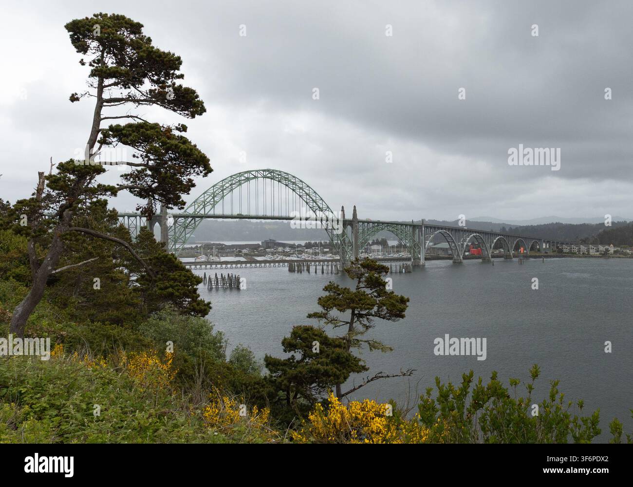 Vue du pont de Yaquina Bay enjambant la baie de Yaquina à Newport, Oregon sous des nuages d'orage dramatiques avec une végétation côtière au premier plan. Banque D'Images