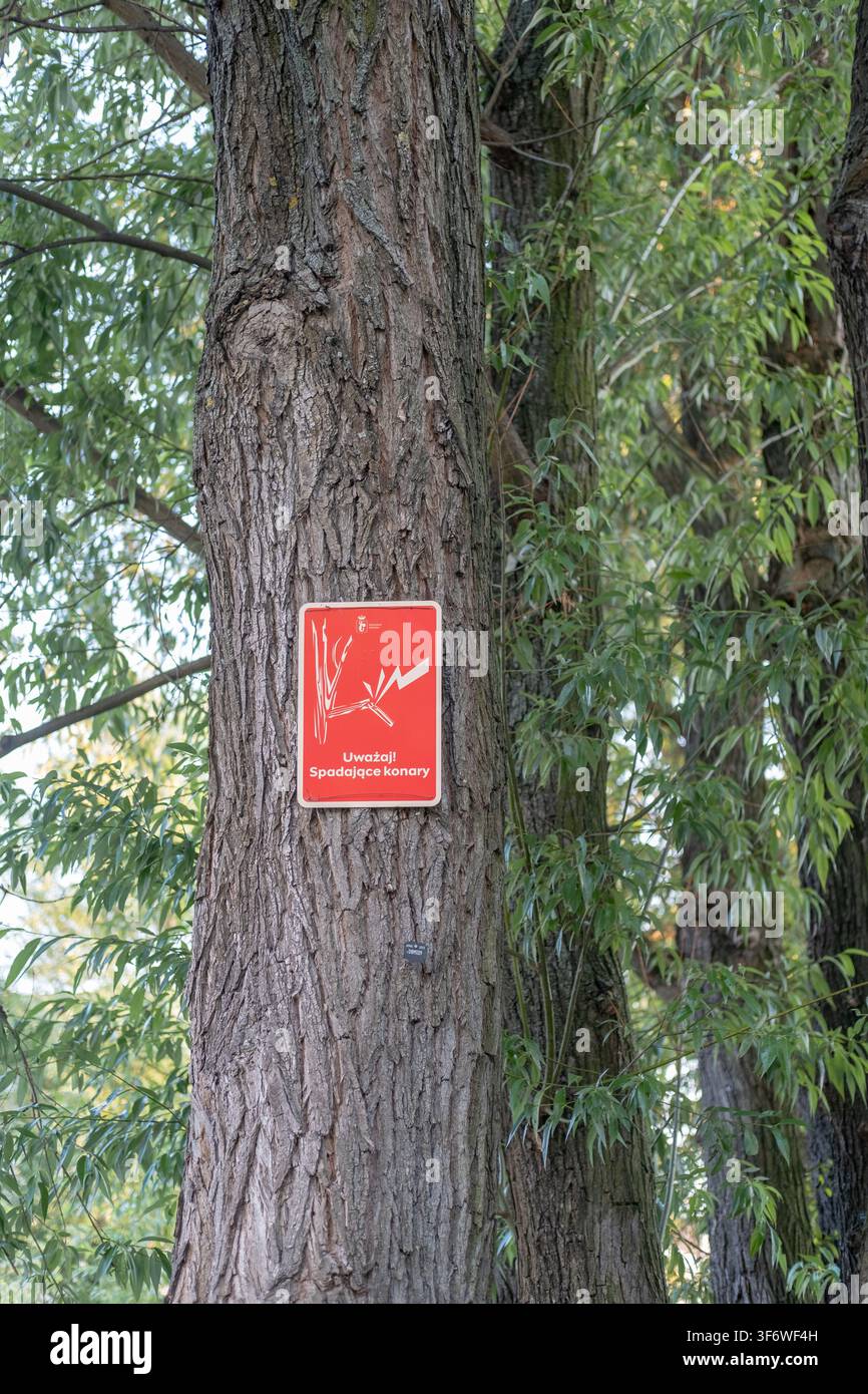 Un panneau d'avertissement rouge avec un graphique blanc d'une branche tombante est fixé à l'écorce rugueuse d'un grand arbre. Banque D'Images