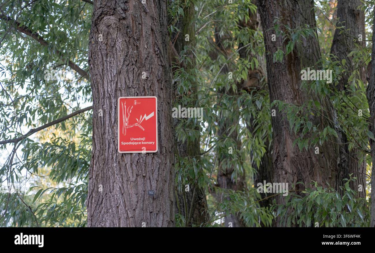Un panneau d'avertissement rouge avec une graphique blanche d'une branche qui tombe est attaché au tronc d'un grand arbre entouré d'un feuillage vert. Banque D'Images