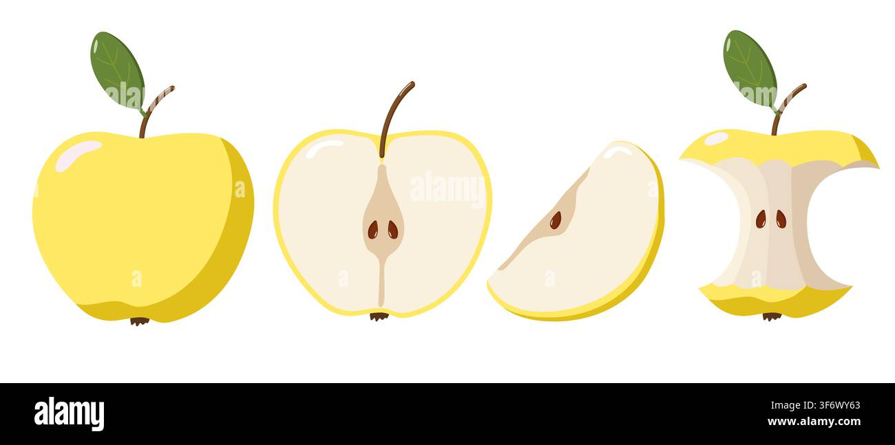 Quatre illustrations de pommes jaunes montrant les étapes allant du fruit entier à la moitié, tranché et au noyau mangé, mettant en évidence l'anatomie Illustration de Vecteur