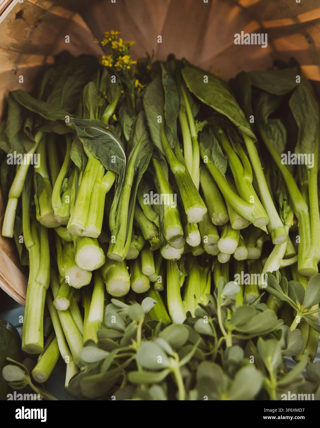 Botte fraîche de brocoli chinois dans un panier Banque D'Images