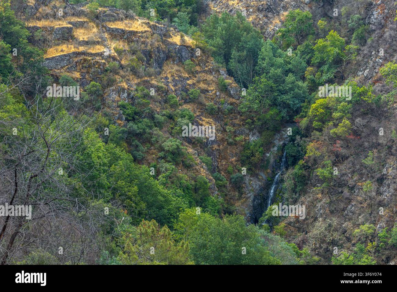 Une petite cascade cachée dévale une pente montagneuse rocheuse et boisée du centre du Portugal. Banque D'Images