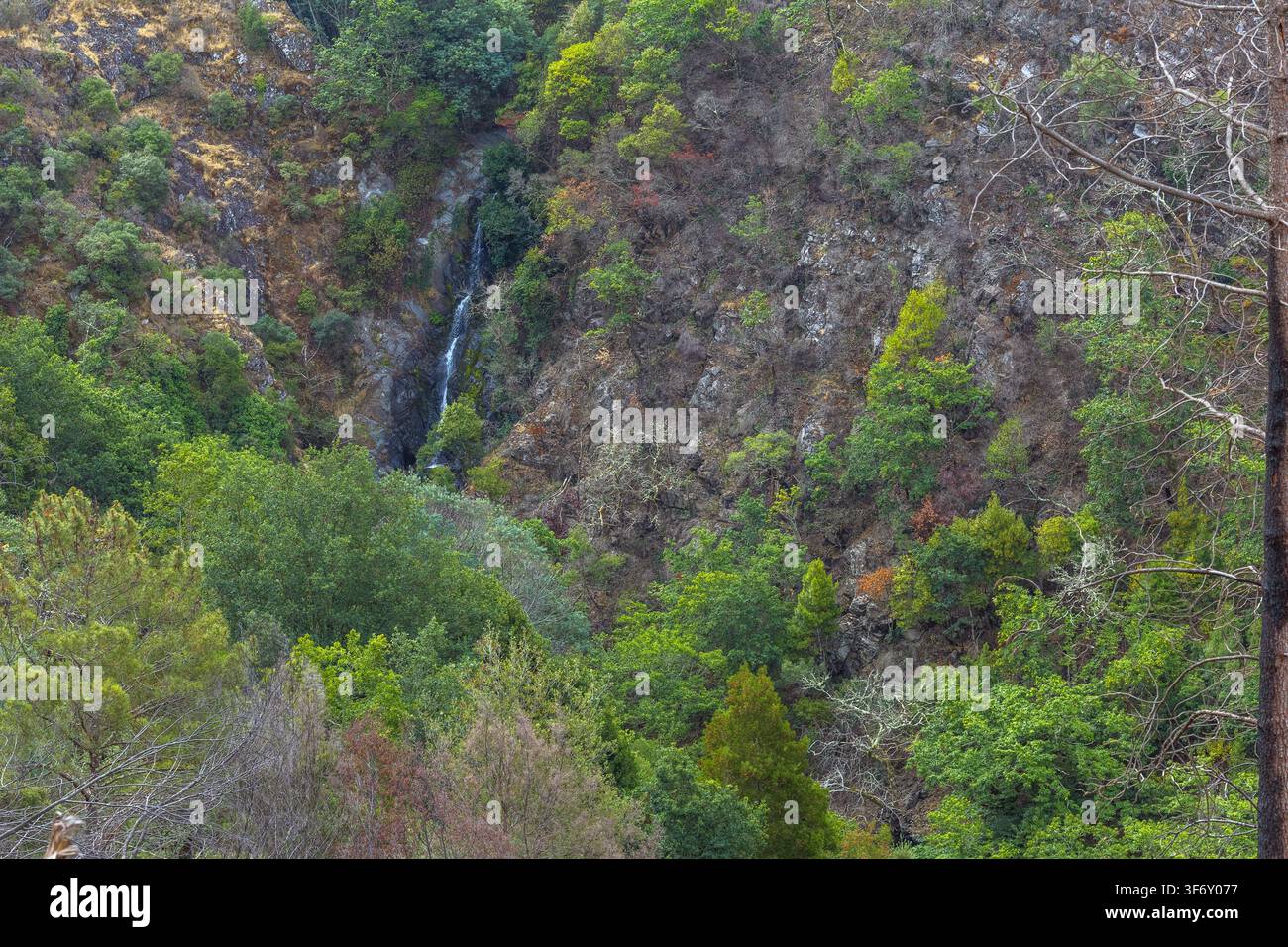 Une petite cascade cachée dévale une pente montagneuse rocheuse et boisée du centre du Portugal. Banque D'Images