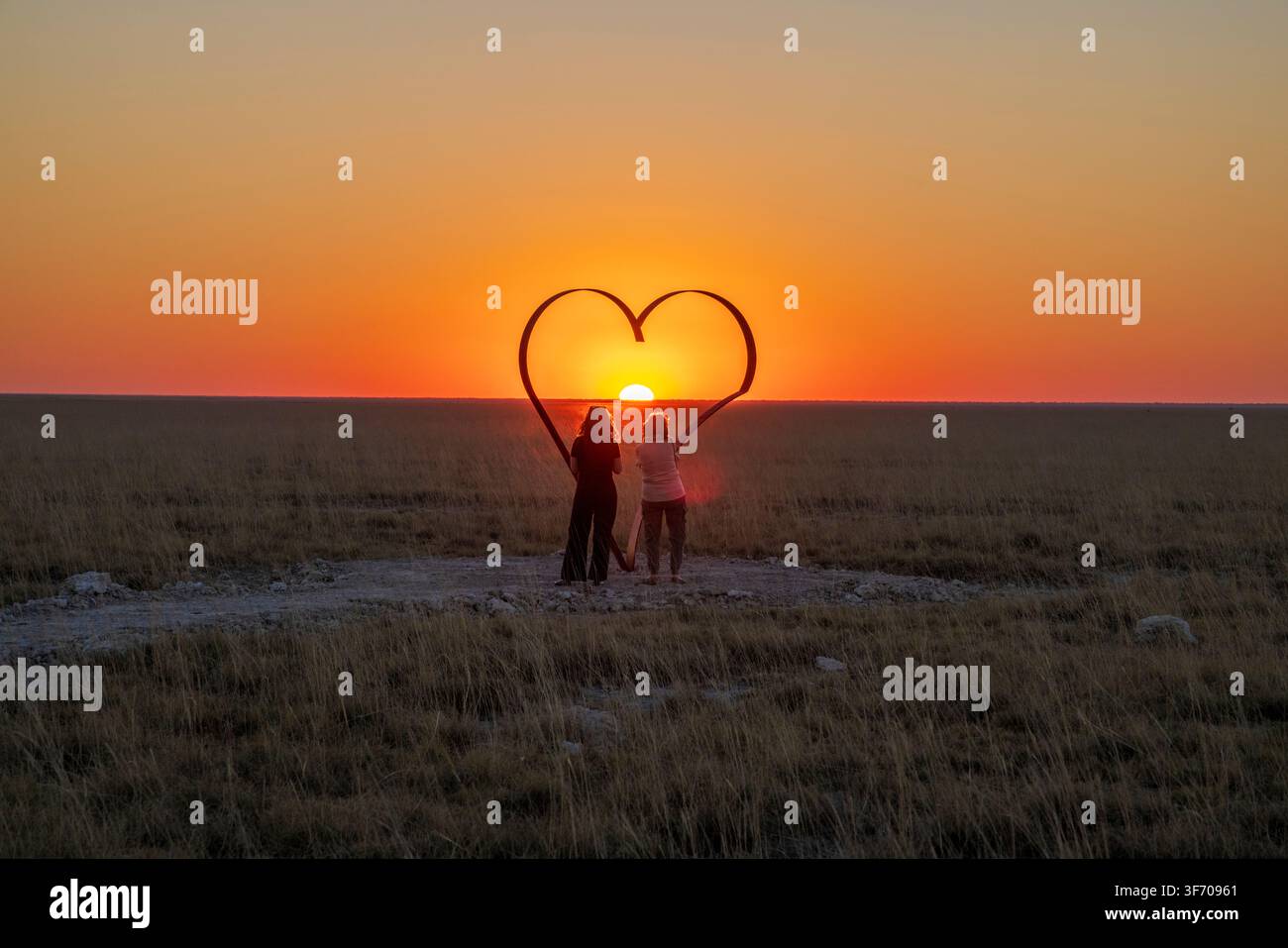 Parc National d'Etosha, Namibie, Afrique Banque D'Images