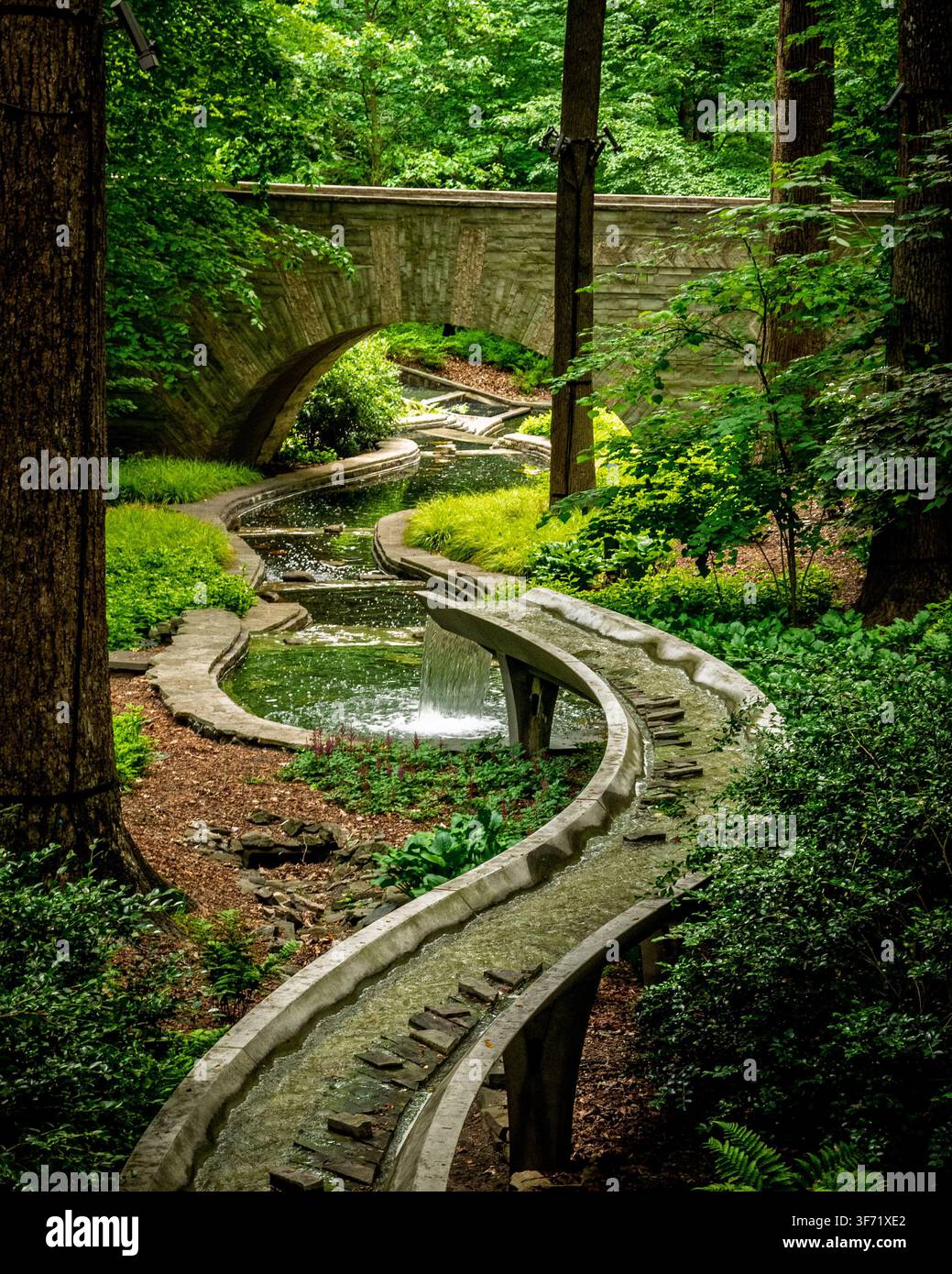 Un pont de pierre incurvé traverse un ruisseau de jardin sinueux bordé de fougères et de mousse sous une canopée forestière. Banque D'Images