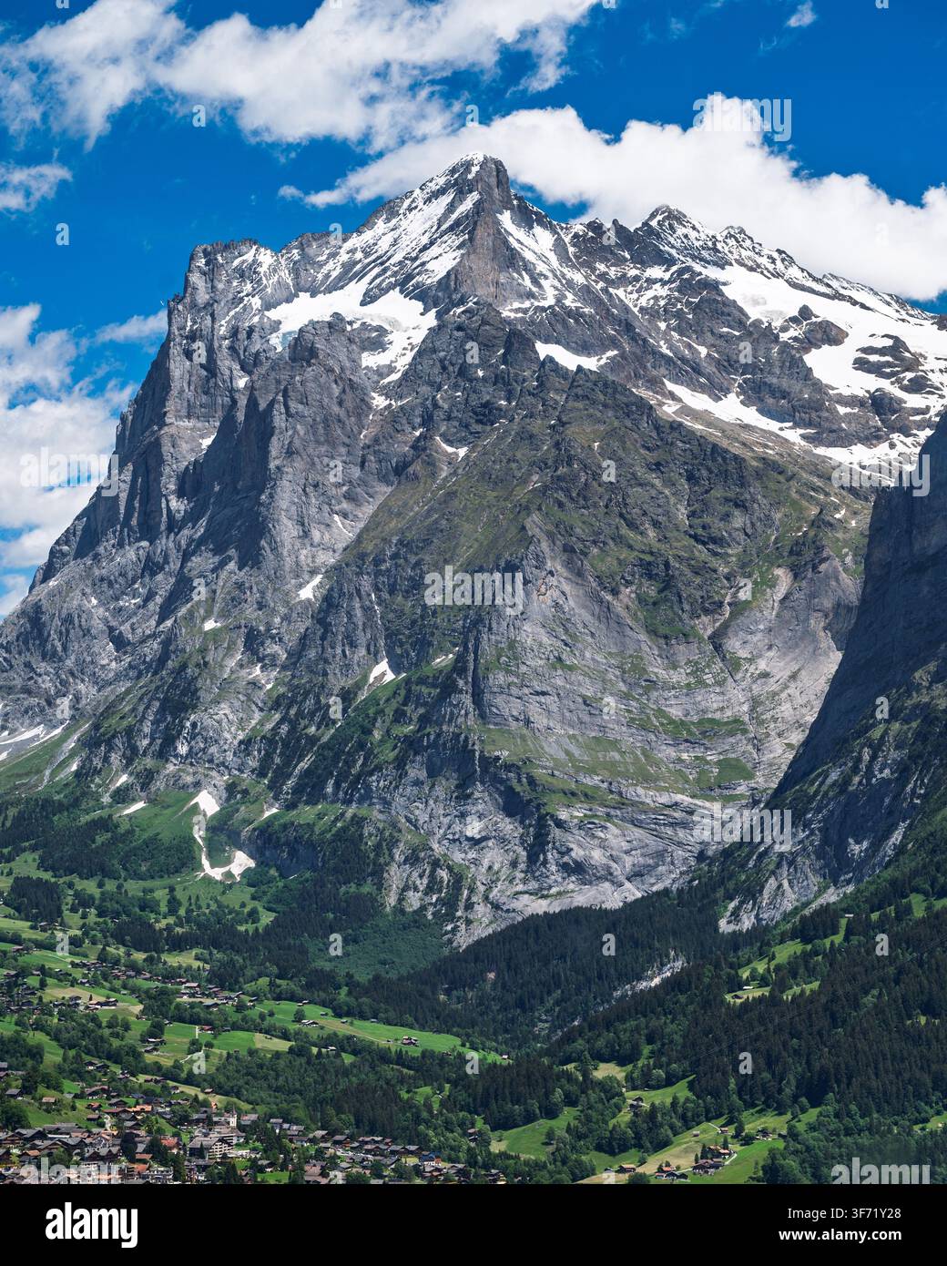Le pic accidenté et enneigé du Wetterhorn domine la vallée verte et le village de Grindelwald dans les Alpes suisses. Banque D'Images