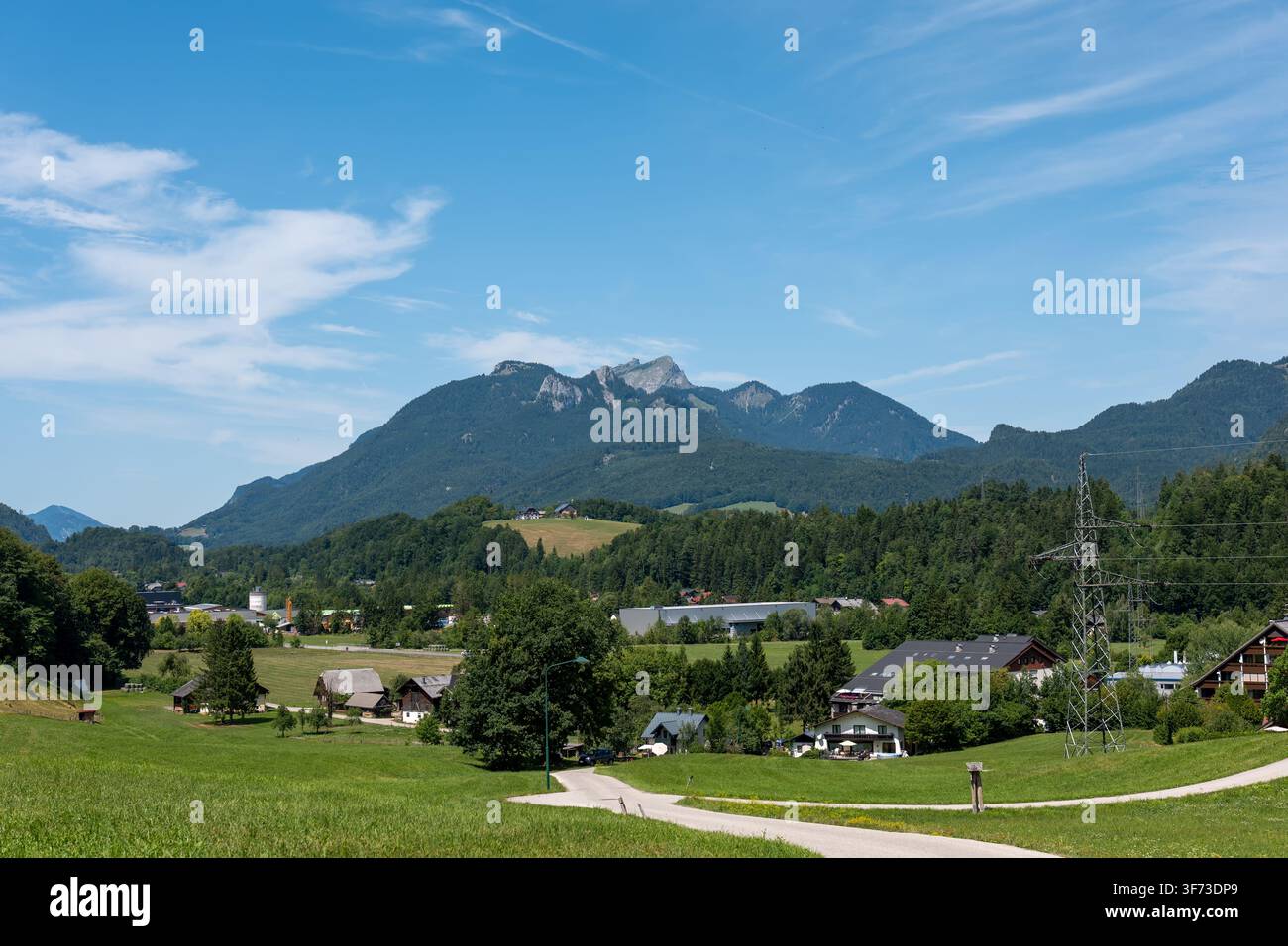 Vue panoramique d'une vallée alpine verdoyante avec des maisons rurales, des routes, des forêts et une chaîne de montagnes au loin Banque D'Images