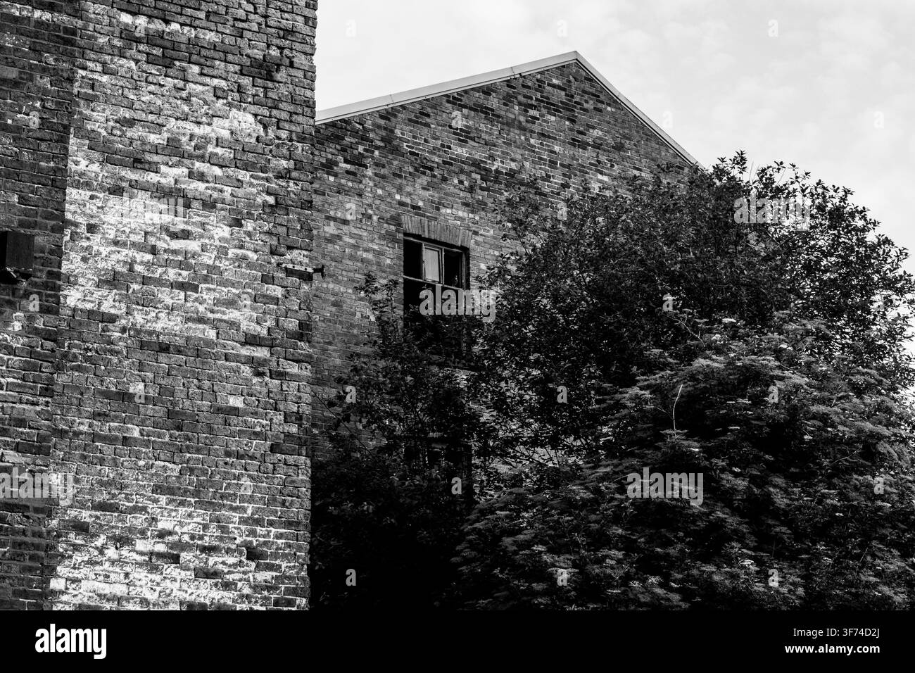 Vue monotone d'un bâtiment de moulin en briques désaffecté partiellement caché par des arbres Banque D'Images