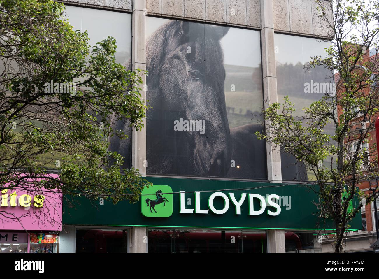 Succursale de la Lloyds Bank sur Oxford Street, Londres, Royaume-Uni Banque D'Images
