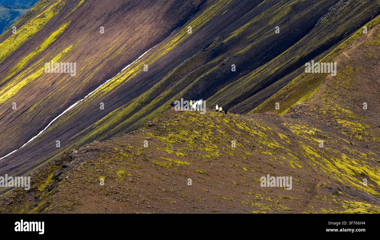 Perspectives aériennes d'un terrain volcanique escarpé avec des motifs de mousse jaune-vert, des crêtes de basalte sombres et une petite tache de neige. Banque D'Images