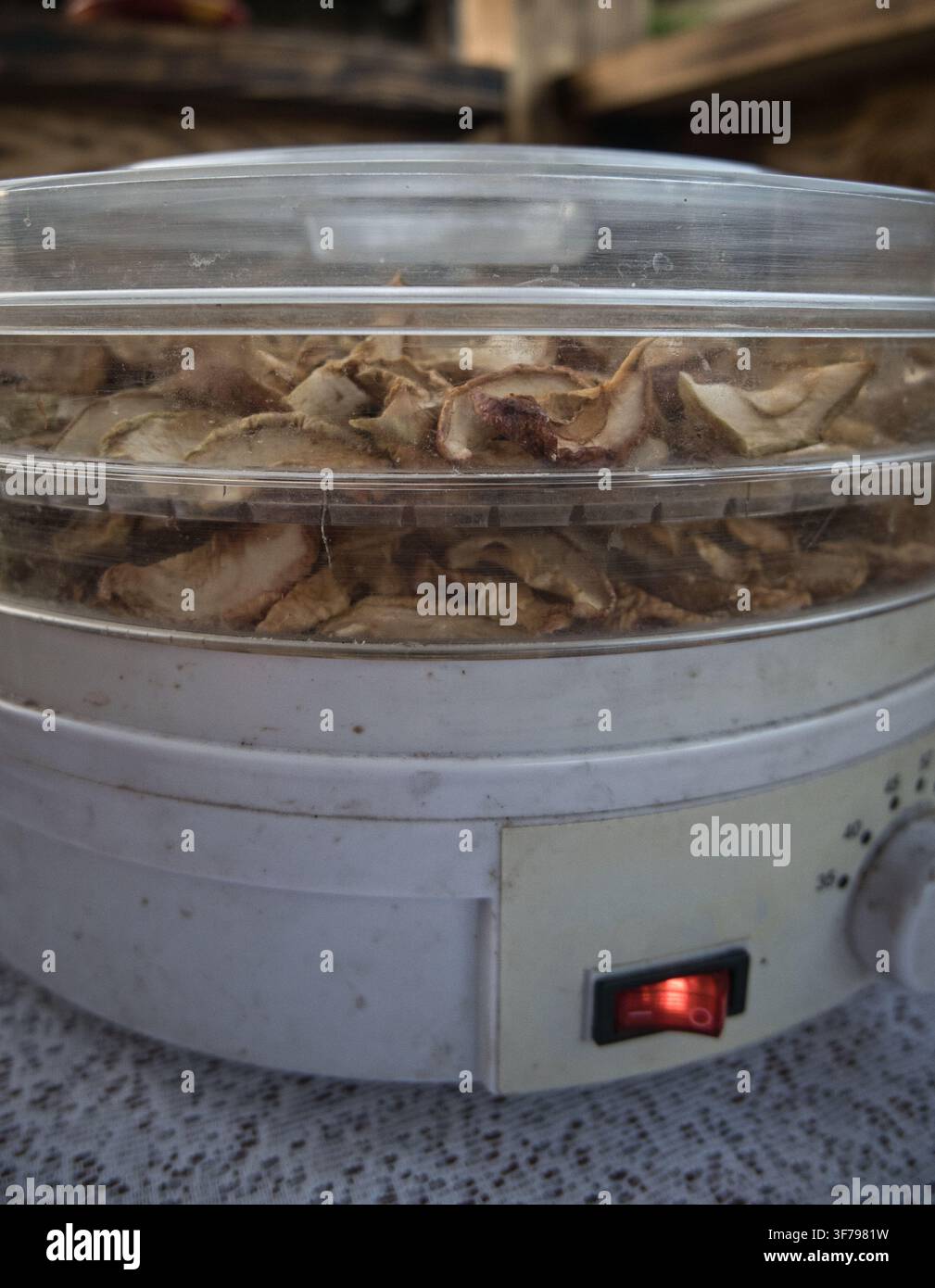 Déshydrateur alimentaire avec tranches de pommes séchées, séchage de fruits maison et conservation des aliments Banque D'Images