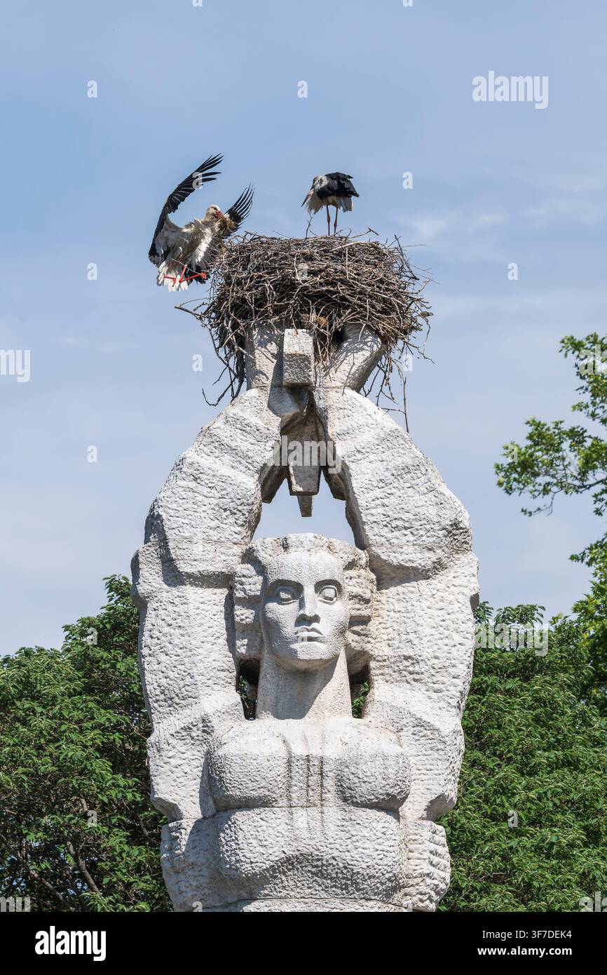 Paire de cigognes blanches sur un nid au sommet du monument antifasciste à Tsalapitsa, Ciconia ciconia, Bulgarie Banque D'Images