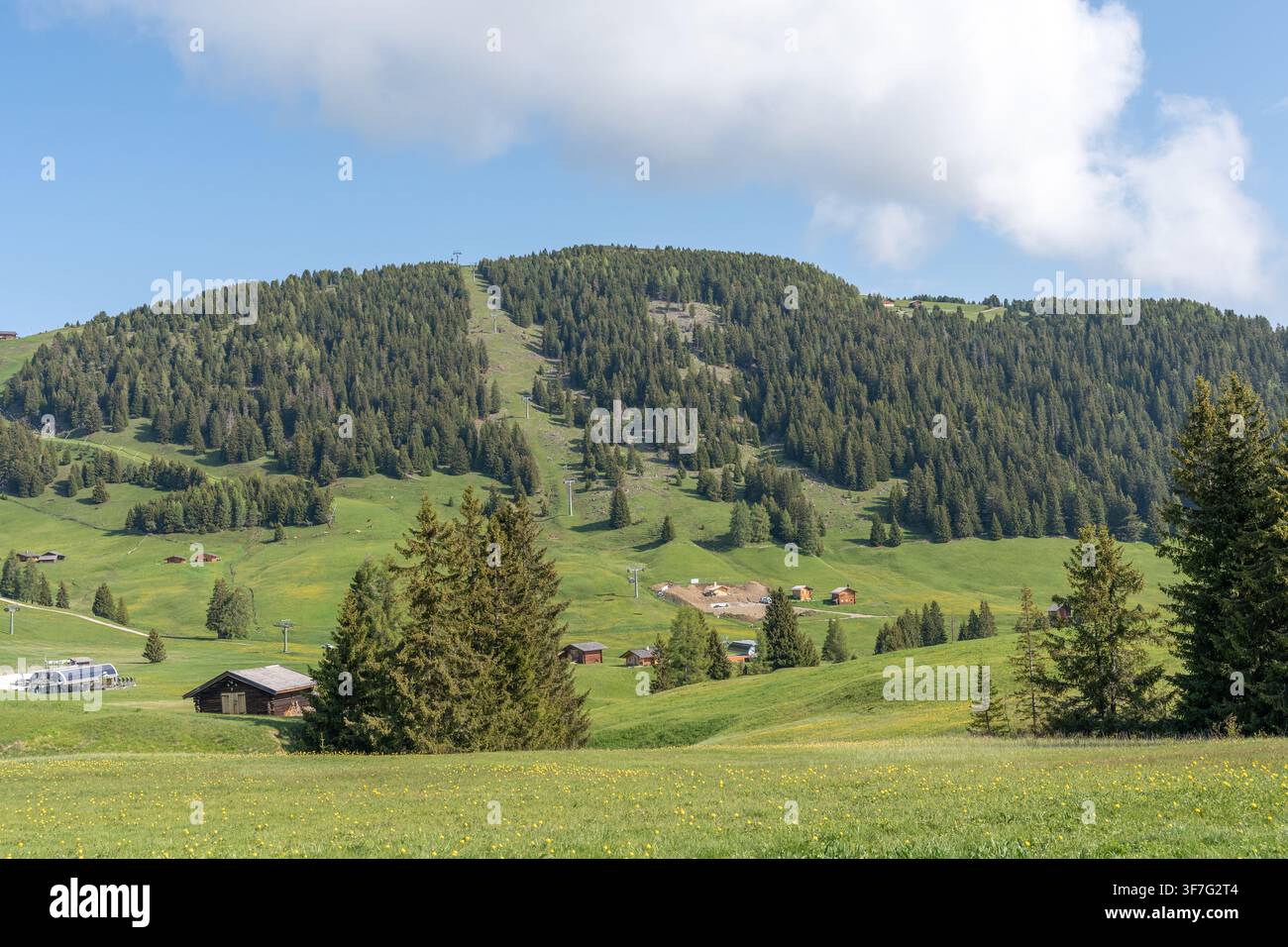Alpe di Siusi, prairie alpine avec les montagnes Dolomites et les chalets Banque D'Images
