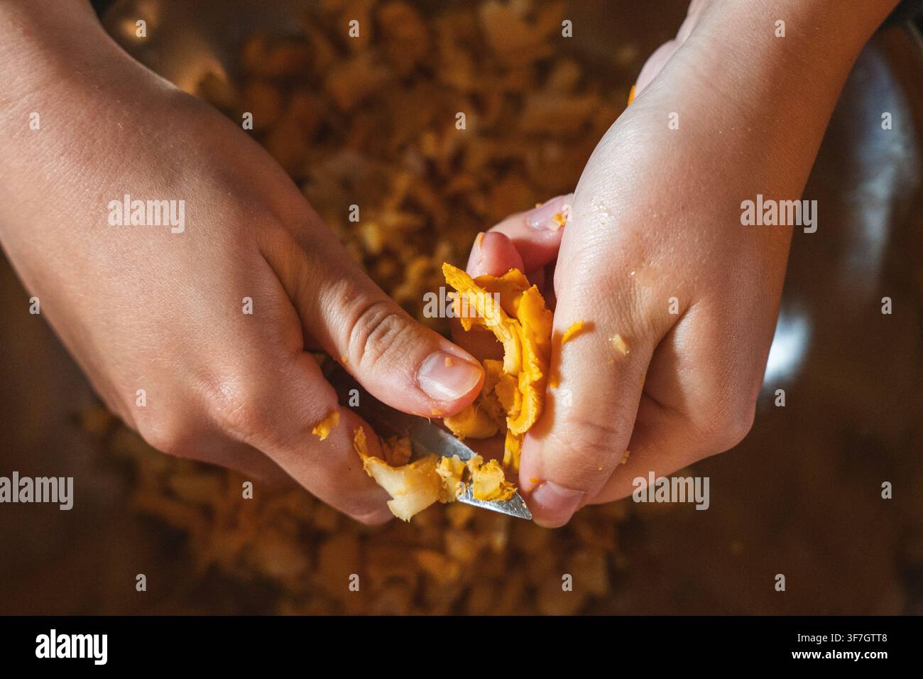 Mains nettoyant des chanterelles fraîches avec un petit couteau Banque D'Images