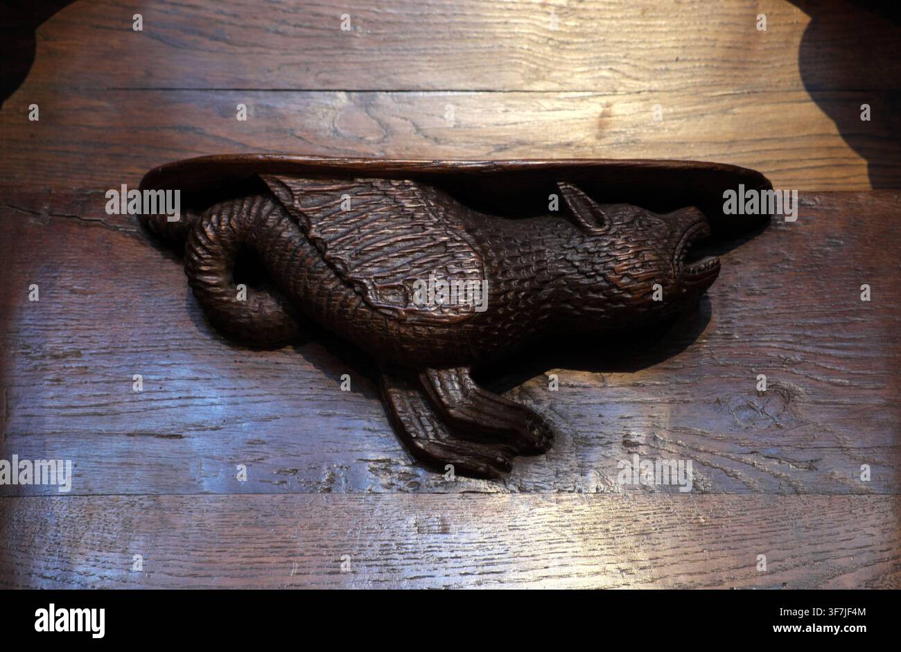 Misericorde en bois sculpté, stalles de chœur, Cathédrale Sainte-Cécile, Albi, Tarn, France. Banque D'Images