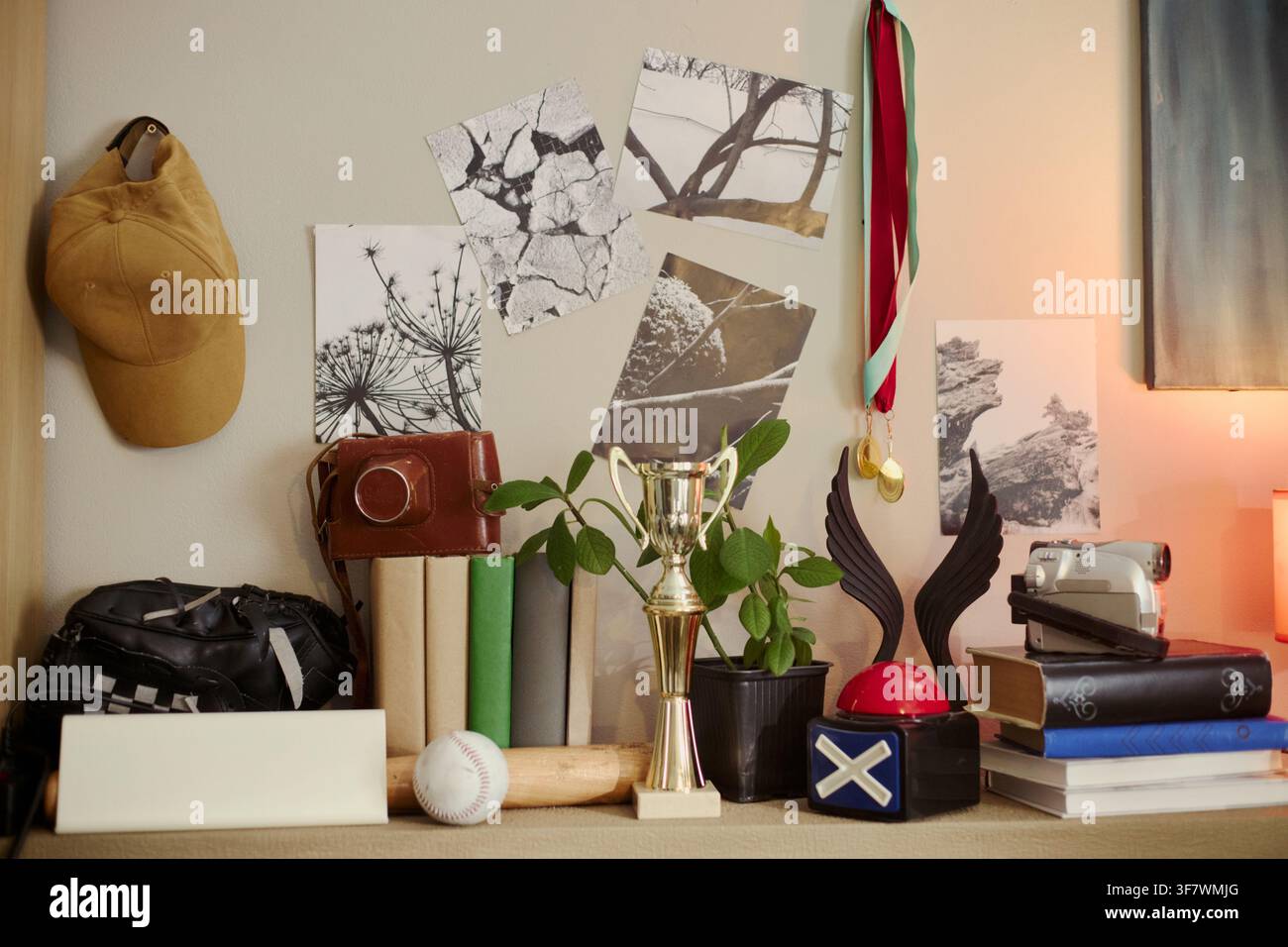 Étagère de chambre d'un jeune homme affichant un trophée sportif, un équipement de baseball, des appareils photo vintage et des livres. Composition de nature morte représentant les accomplissements de la jeunesse, les passe-temps et le développement personnel, prise de vue en moyen format Banque D'Images