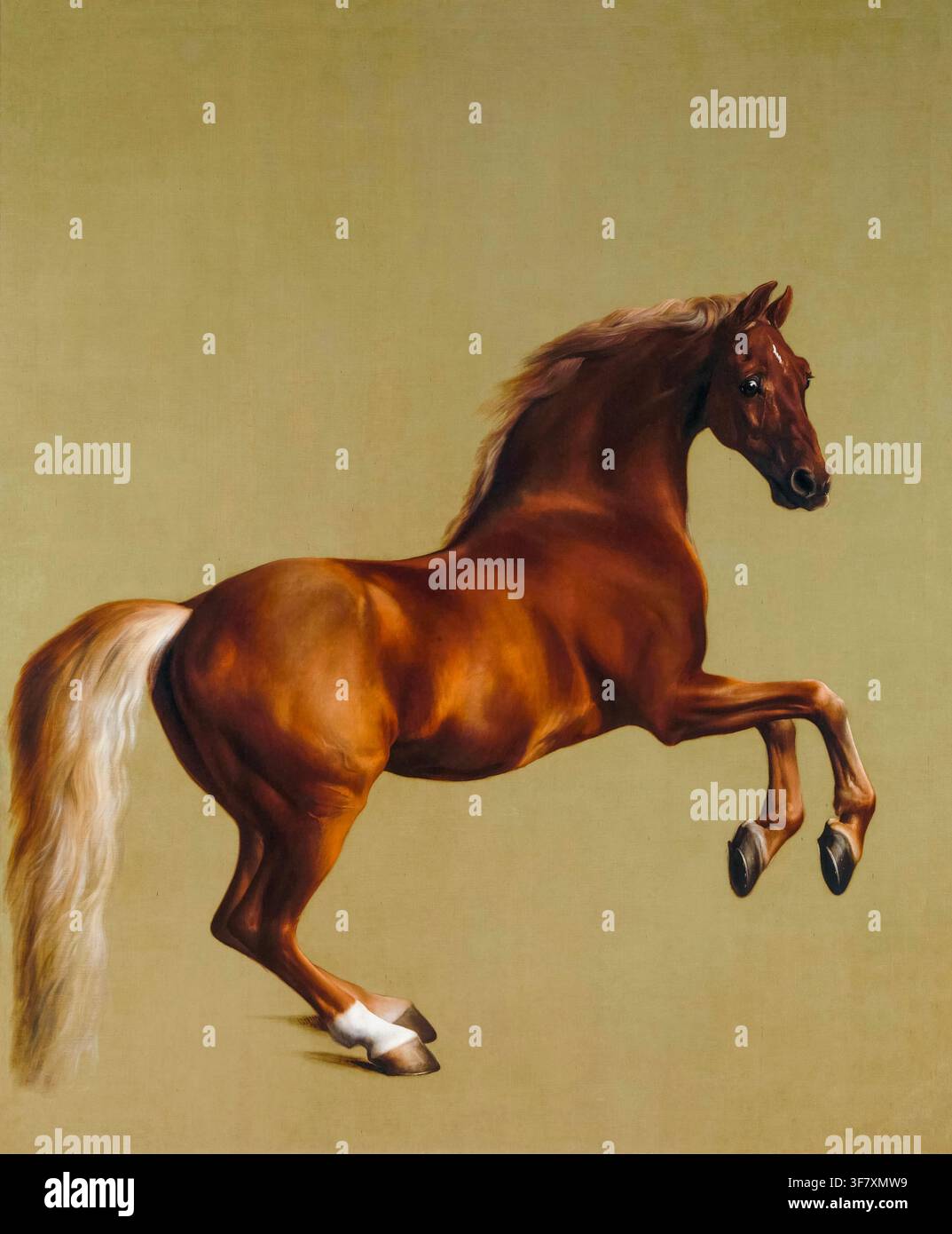 George Stubbs, Whistlejacket, peinture à l'huile sur toile, vers 1762 Banque D'Images