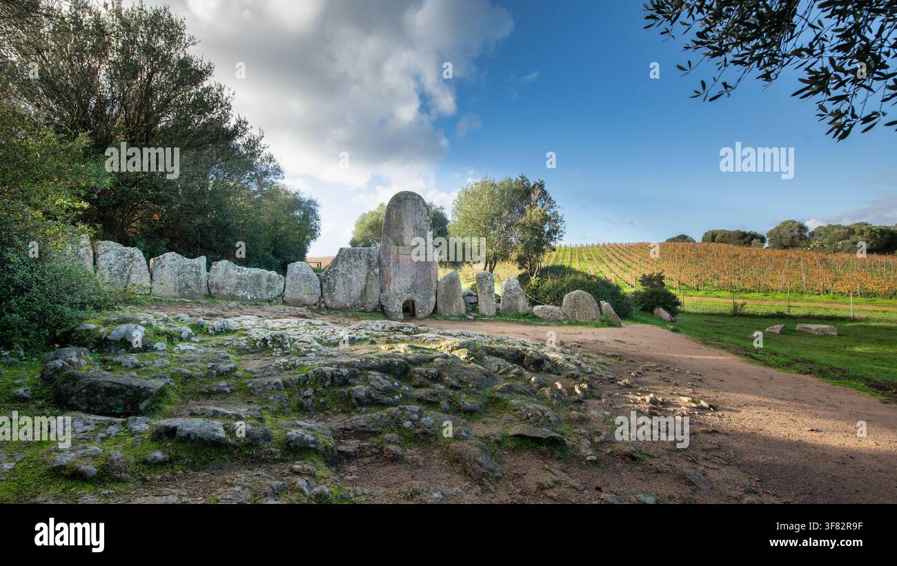 Le tombeau géant historique Coddu Vecchiu près d'Arzachena sur l'île italienne de Sardaigne. Banque D'Images