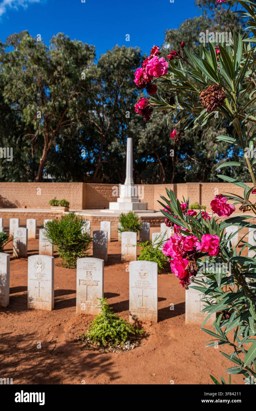 Cimetière britannique de la Seconde Guerre mondiale à Benghazi avec des pierres tombales blanches et des fleurs Banque D'Images