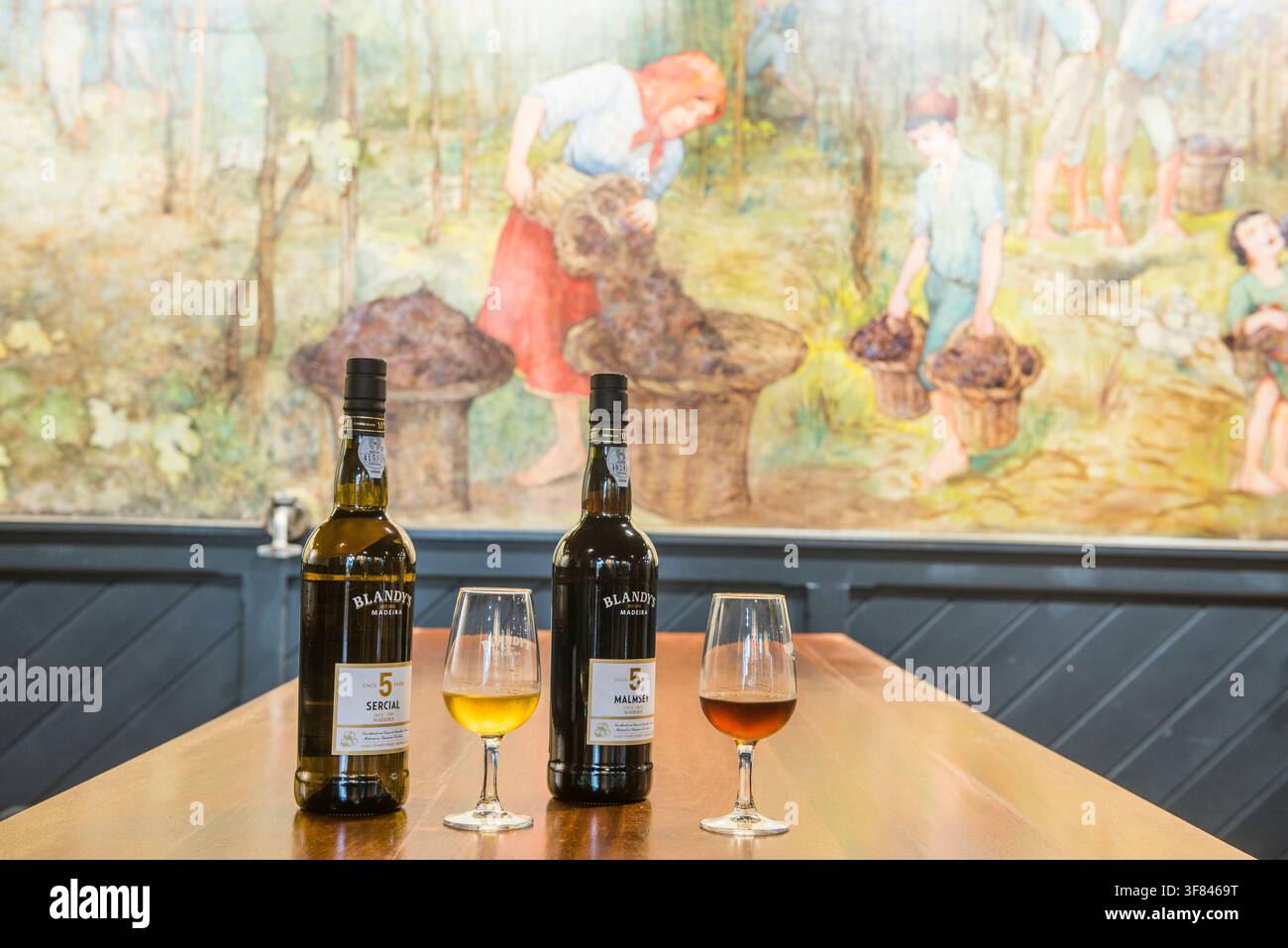 Dégustation de vins Sercial et Malmsey au Blandys Wine Lodge à Madère avec une riche histoire en arrière-plan Banque D'Images