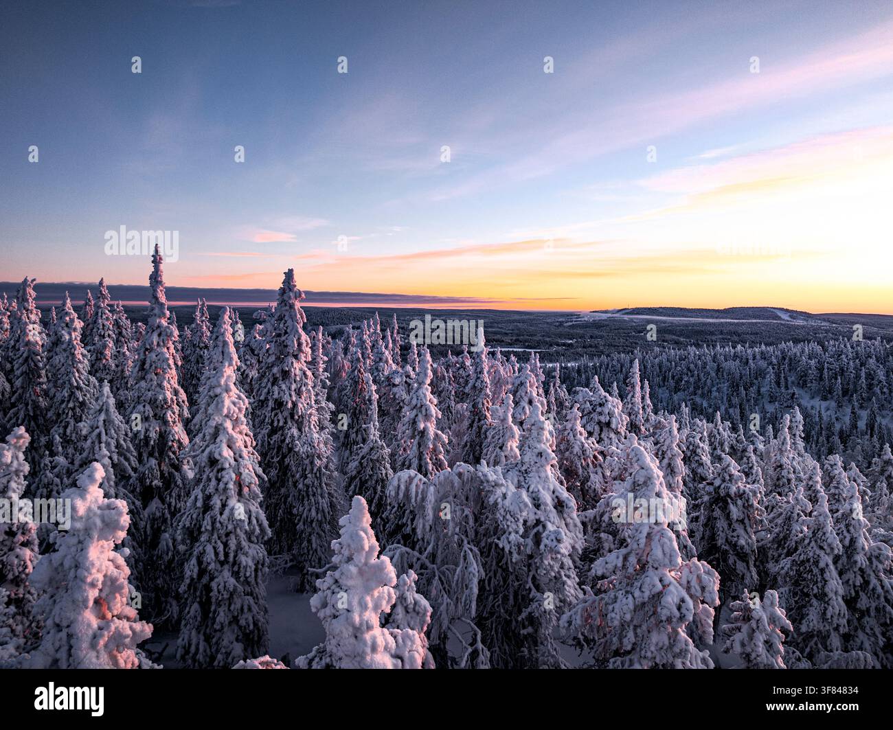 Forêt enneigée gelée au lever du soleil avec des arbres couverts de neige en Finlande pendant la saison hivernale Banque D'Images