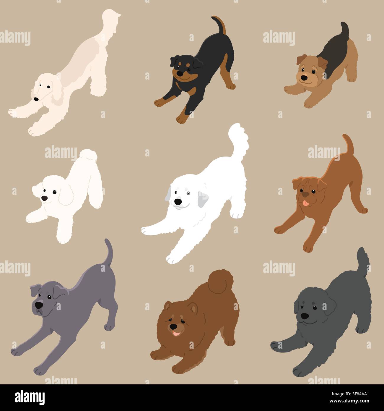 Ensemble d'illustrations de chiens simples et mignons, jouant avec des couleurs plates Illustration de Vecteur