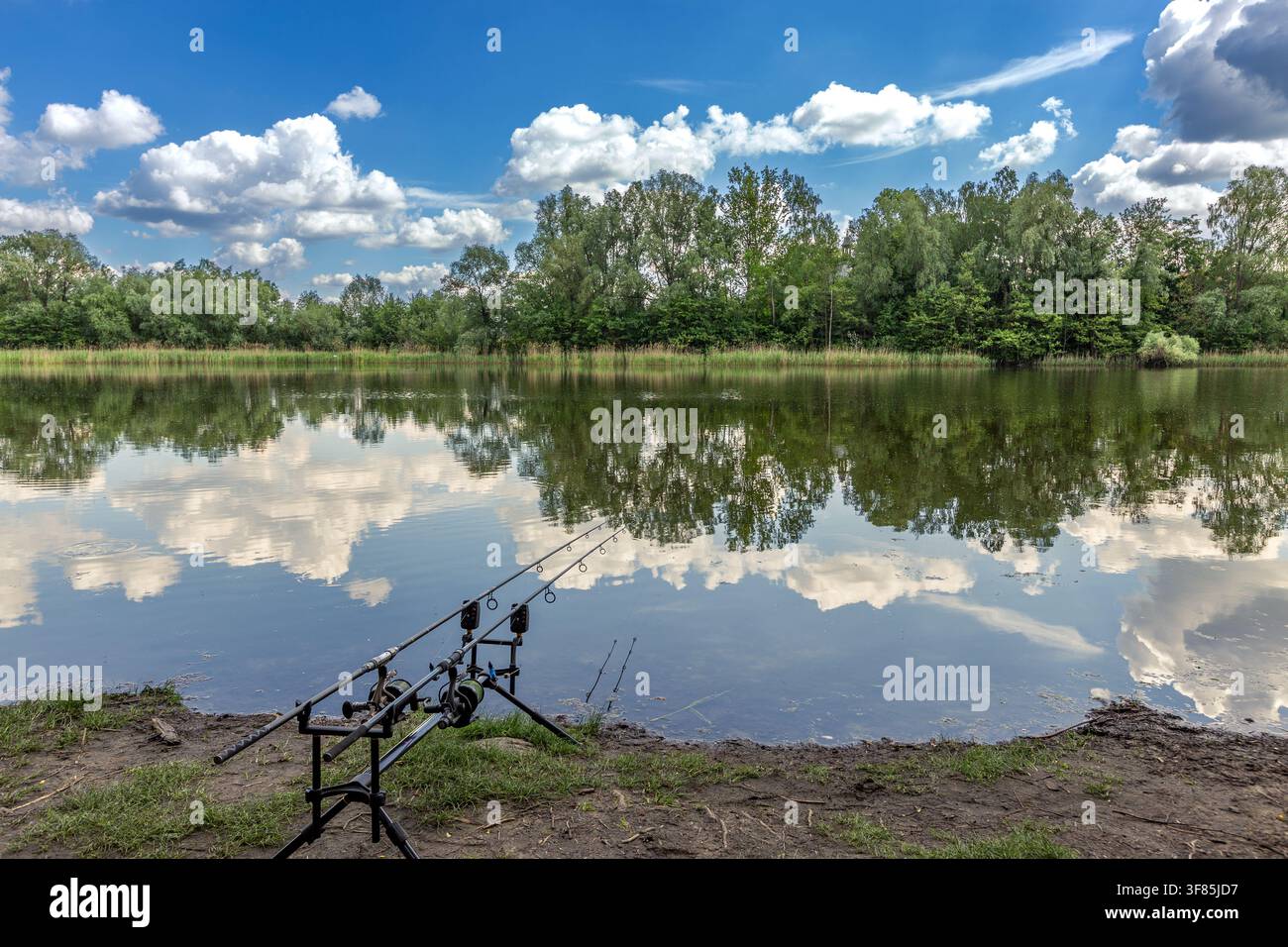 Deux cannes à pêche au carp se reposent sur un support de cannes près du bord d'un lac. L'eau calme reflète les nuages et les arbres environnants. Sol boueux et végétation dense. Banque D'Images