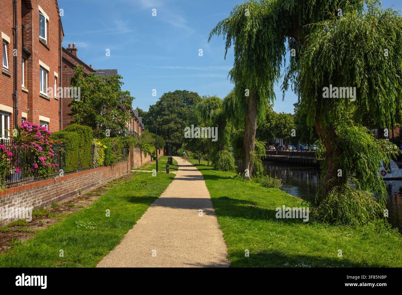 Vue le long de la belle promenade Riverside, à côté de la rivière Wensum dans la ville de Norwich, Royaume-Uni. Banque D'Images