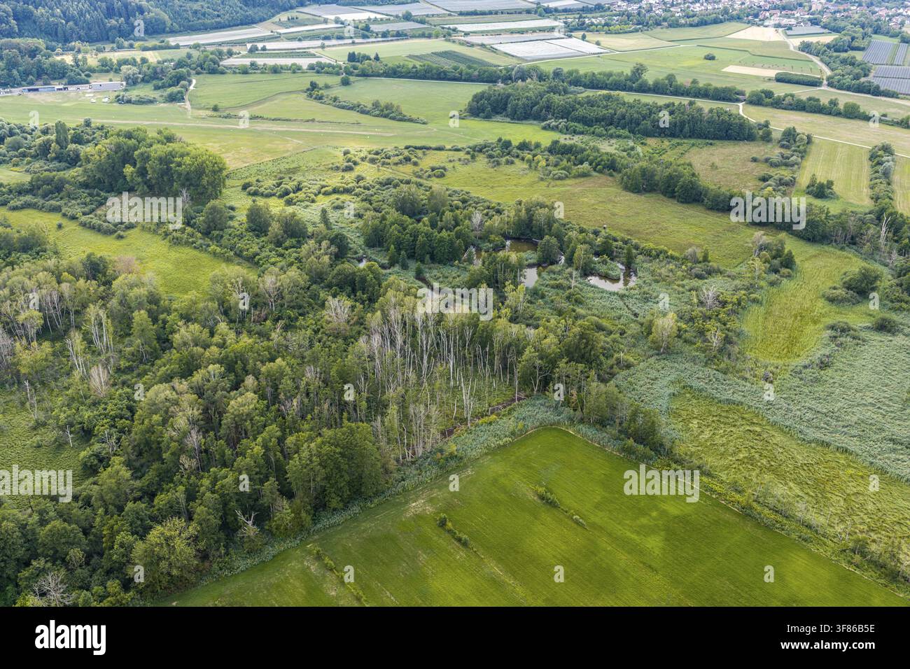 Paysage près de Bodman-Ludwigshafen près du lac de Constance. vue aérienne. Bodman-Ludwigshafen, Bade-Wurtemberg, Allemagne Banque D'Images