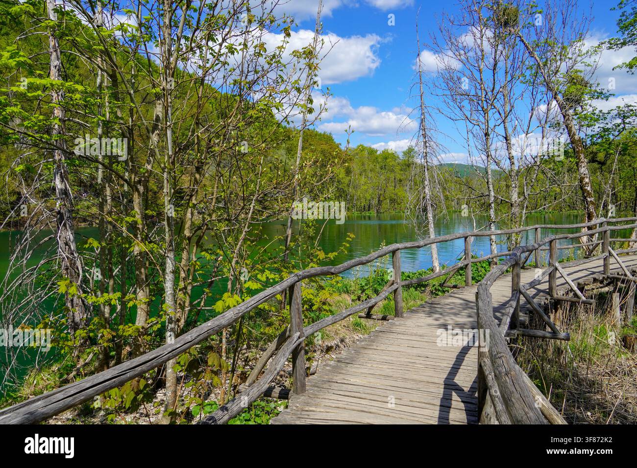 Sentier en bois du parc national des Plitvice. Magnifique lever de soleil estival dans une forêt luxuriante avec un lac d'eau pure. Banque D'Images