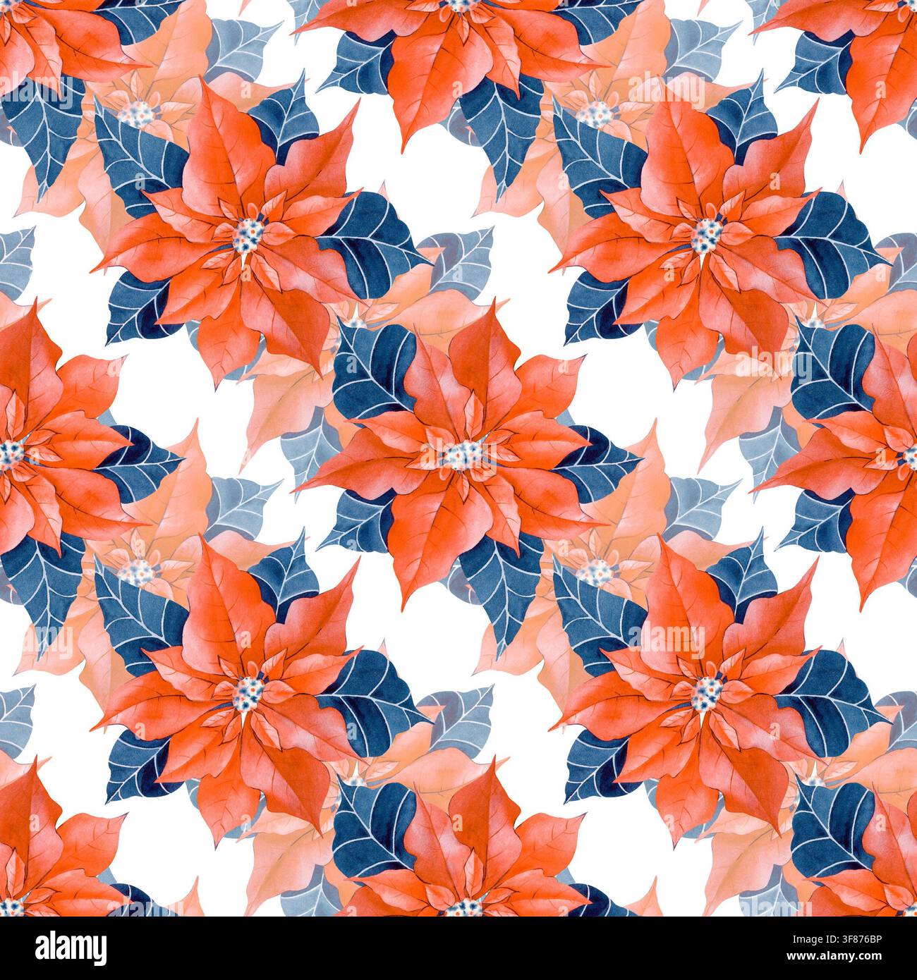 Motif sans couture aquarellé avec des fleurs de poinsettia rouges vives et des feuilles bleu foncé contrastées sur fond blanc. Parfait pour les fêtes de Noël Banque D'Images