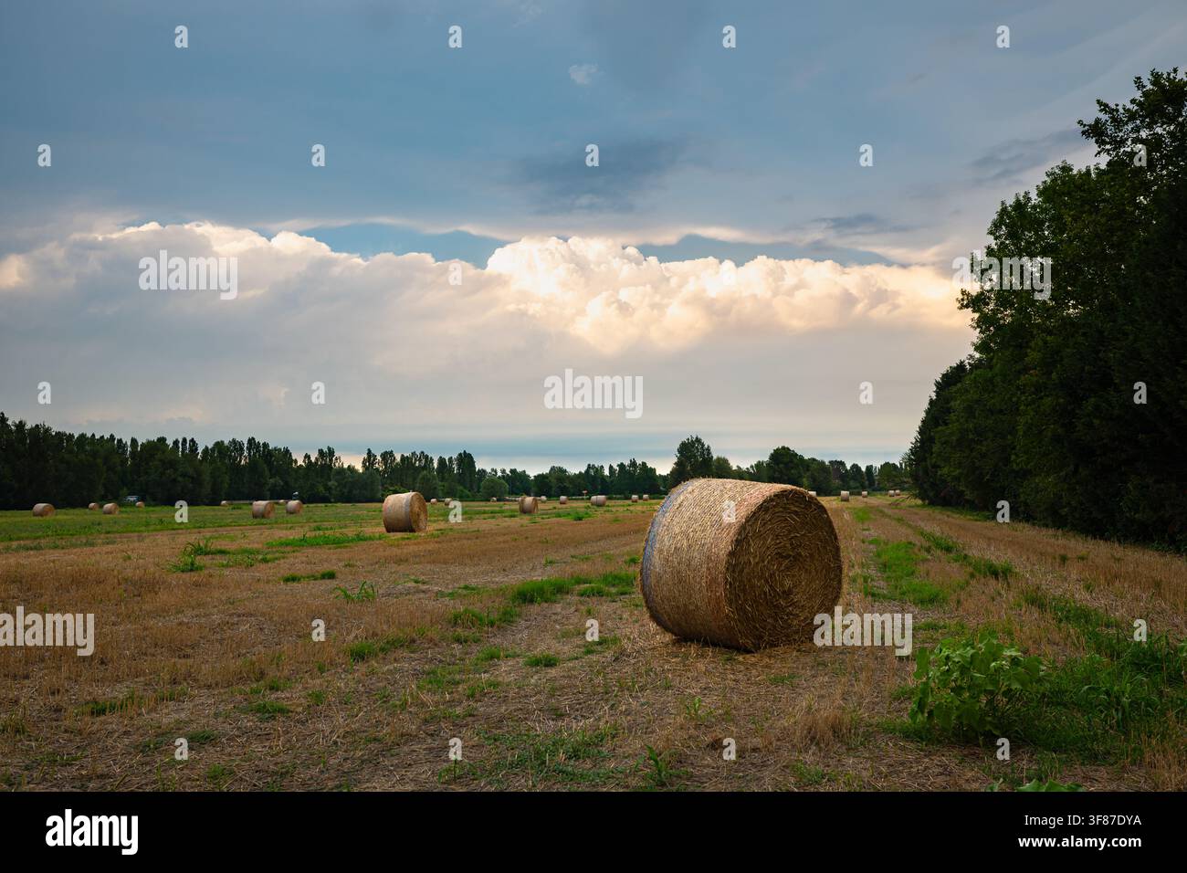 Des balles de foin dans un champ rural sous des nuages dramatiques au coucher du soleil près de Modène, Italie. Paysage de récolte estivale. Banque D'Images