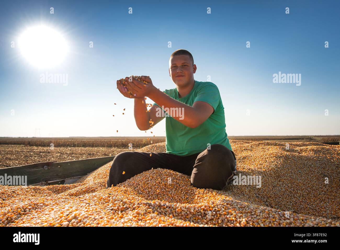 Jeune fermier tenant des grains de maïs dans ses mains alors qu'il est assis sur une remorque chargée de maïs récolté dans un champ agricole rural. Lumière vive, b Banque D'Images