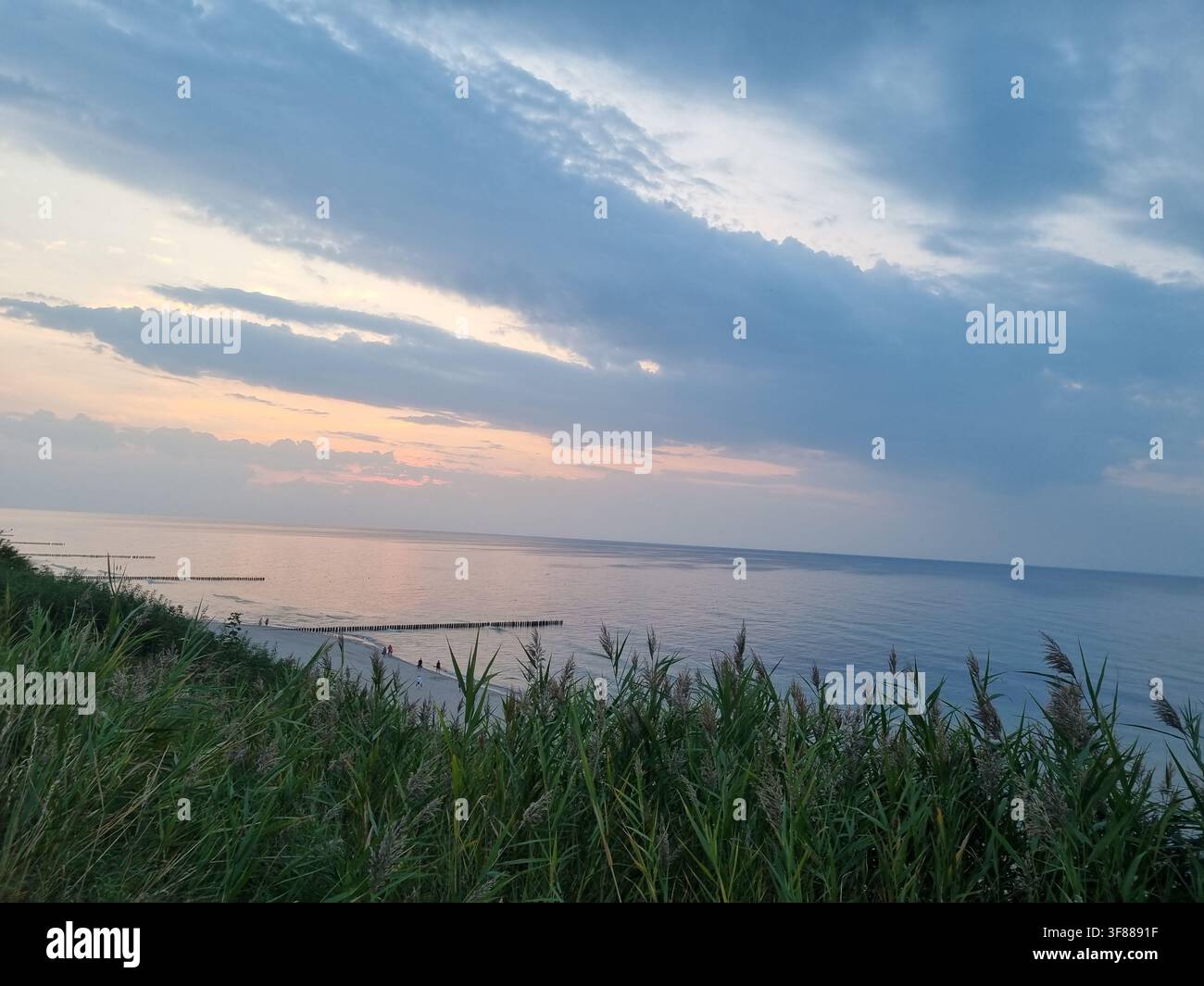 Couchant sur mer calme vu à travers l'herbe de plage sur le rivage - Image de stock capturée avec un smartphone