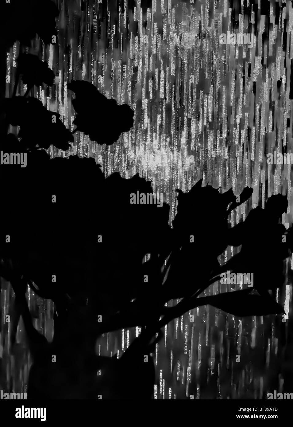 Ombres - Image de stock capturée avec un smartphone